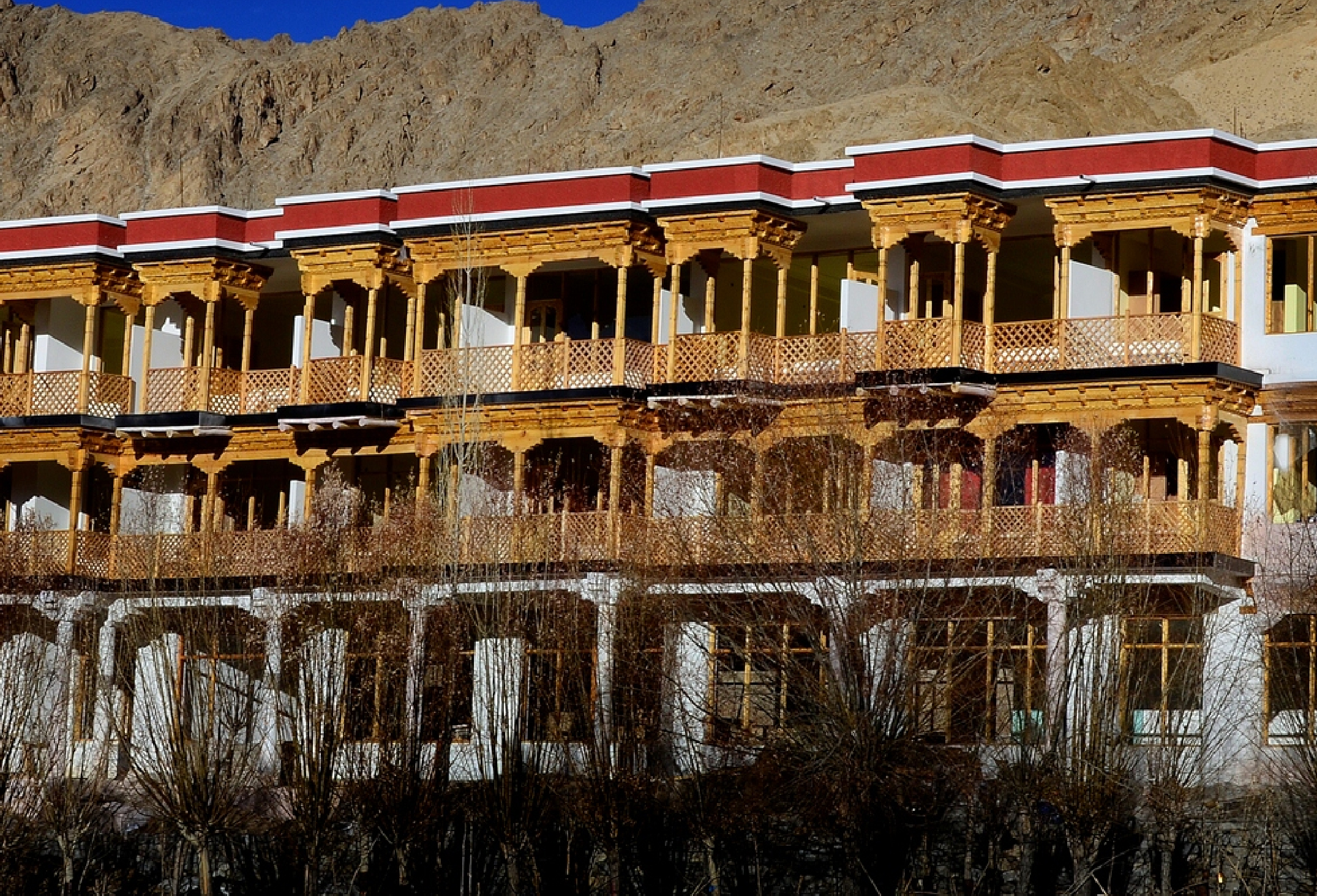 Hotel Ladakh Palace boutique